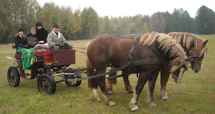 Gospodarstwo Ekologiczne